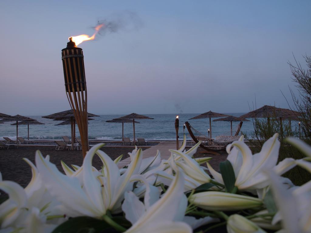 Hotel Thalatta Seaside Agia Anna (Evia)