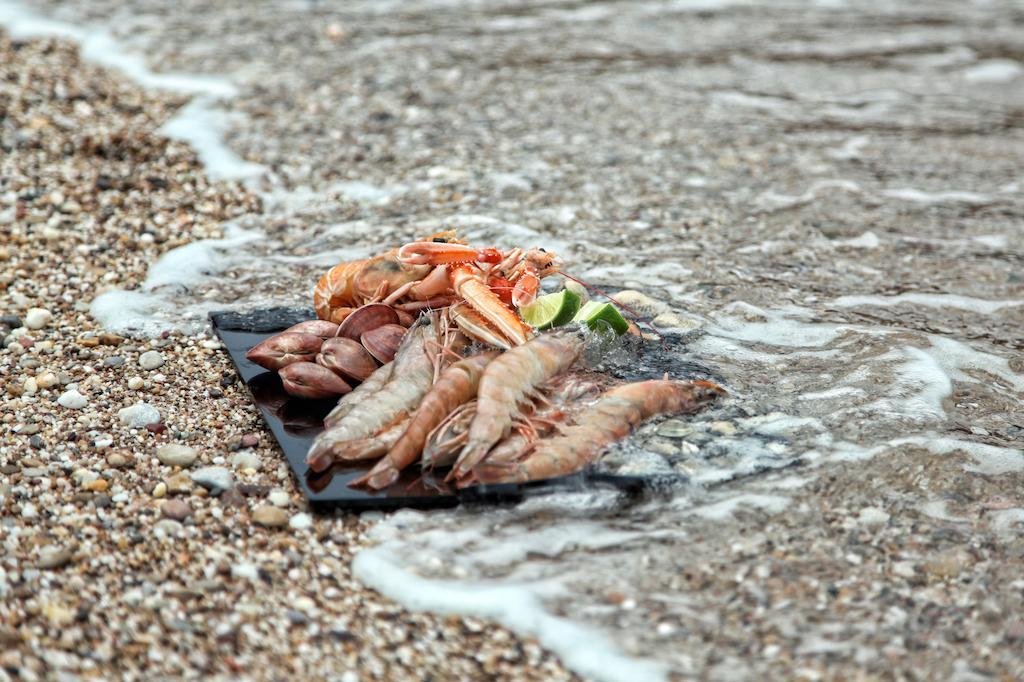 Hotel Thalatta Seaside Agia Anna (Evia)