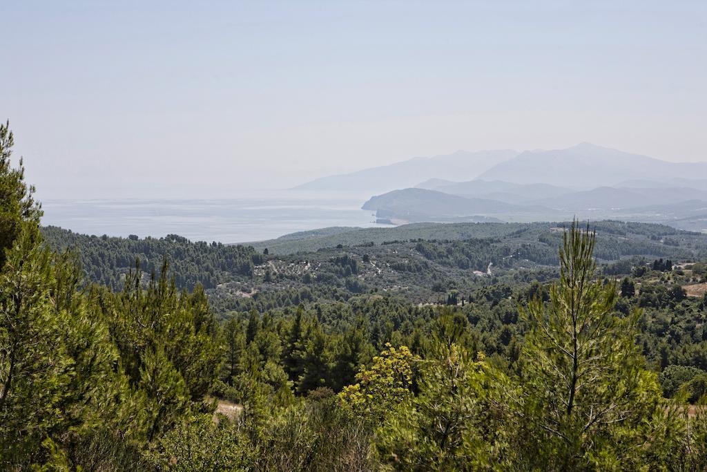 Hotel Thalatta Seaside Agia Anna (Evia)